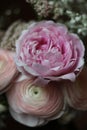 Closeup of pink peony in a small bouquet of pale pink flowers Royalty Free Stock Photo