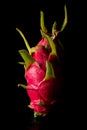 Closeup of pink pitaya or dragon fruit on black background, Royalty Free Stock Photo