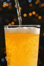 Closeup Pint Of Beer with Bubbles Royalty Free Stock Photo