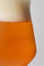 Closeup Pint Of Beer  Shoot in Studio Royalty Free Stock Photo