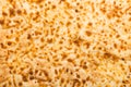 Closeup Pizza Crust Royalty Free Stock Photo