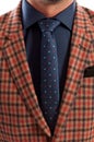 Closeup with plaid jacket and dots tie Royalty Free Stock Photo