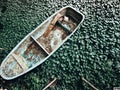 closeup of a plastic boat on the lake