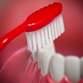 Closeup of plastic teeth and gum model Royalty Free Stock Photo