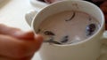 Closeup plate flakes with milk mom feed young baby in white feeding up high chair, kid is trying to eat himself, child Royalty Free Stock Photo