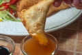 Fried dumplings wontons Royalty Free Stock Photo