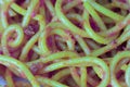 Closeup Of A Plate Of Spaghetti Bolognese