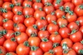 Closeup plenty red fresh ripe cherry tomatoes together with stems are awaiting distribution in box on farmers market. Concept of Royalty Free Stock Photo