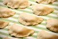 Closeup of Polish pierogi