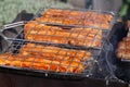 Closeup of pork meat in the foldable barbecue grilling basket