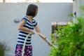 Closeup Portrait of Asian little girl watering the colourful blossom flowers by watering can