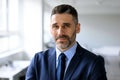 Closeup portrait of bearded middle aged businessman posing at office, man manager in suit and tie looking at camera Royalty Free Stock Photo