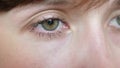 Closeup portrait of beautiful gray-green eyes of a young beautiful woman. beautiful galaza girls closeup.