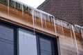 A closeup portrait of big icicles hanging from a roof gutter above a window during winter after a blizzard. The ice is dangerous Royalty Free Stock Photo