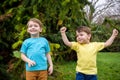 Closeup portrait of Caucasian two little brothers boys laughing outside in park on summer day Royalty Free Stock Photo