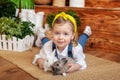 Closeup portrait of cute little girl and white and brown rabbits. Child playing with rabbits. Easter celebration. Concept child an Royalty Free Stock Photo