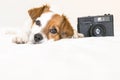 closeup portrait of a cute small dog sitting on bed with a black vintage camera. Pets indoors