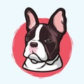 Closeup Portrait of the Domestic Dog French Bulldog Breed on the White Background. Hand Drawn Line Art Royalty Free Stock Photo