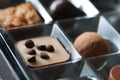 A closeup portrait of a fancy chocolate bonbon or praline covered with some small dark chocolate pieces. There are multiple tasty