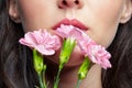 Closeup portrait of female face with pink beauty makeup and carnation flowers near mouth Royalty Free Stock Photo