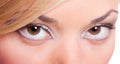 Closeup portrait of feminine eyes Royalty Free Stock Photo