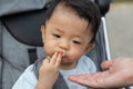 Happy and cute Asian Chinese baby boy sitting on stroller at park during evening Royalty Free Stock Photo