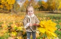 Little smiling girl with maple bouguet is in autumn park.