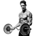 Closeup portrait of a muscular man workout with barbell at gym. Royalty Free Stock Photo