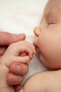 Closeup portrait of newborn baby hugs daddy`s strong arms