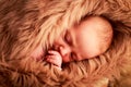 closeup portrait of newborn baby sleeping face with hand under cheek Royalty Free Stock Photo