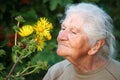 Close-up portrait of an old woman with gray hair smiling and sniffing a big yellow flower, face in deep wrinkles, selective focus