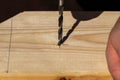 A closeup portrait of a person drilling a hole in a wooden plank on the drawn pencil marking. The wood drill bit is already a bit Royalty Free Stock Photo