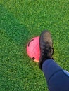 Closeup portrait shot of soccer cleats on a ball in a green field with natural light