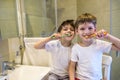 Closeup portrait of twins kids toddler boy brother in bathroom toilet washing face hands brushing teeth with toothbrush playing Royalty Free Stock Photo