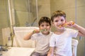 Closeup portrait of twins kids toddler boy brother in bathroom toilet washing face hands brushing teeth with toothbrush playing Royalty Free Stock Photo