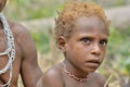 Closeup Portrait of unidentified Papuan little boy of Korowai tribe Royalty Free Stock Photo