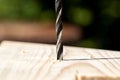 A closeup portrait of a wood drill bit drilling into a wooden plank, with wood chips lying on the work piece Royalty Free Stock Photo