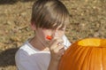 Portrait of a young boy outside carving pumpkins with precision Royalty Free Stock Photo