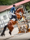 Young gelding horse and adult man rider jumping during equestrian showjumping competition in daytime in summer