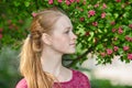 Closeup portrait of young natural beautiful redhead woman in fuchsia blouse posing against blossoming tree with blurred green foli Royalty Free Stock Photo