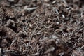 Closeup of potting soil, compost mixture