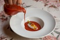 Closeup of pouring tomato sauce on Goats cheese mousse served with delicious garnishes Royalty Free Stock Photo