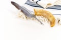 Closeup of a Prayer shawl Tallit and a Shofar or horn with a feather pen on white background