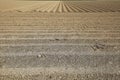 Closeup of prepared fresh plowed agricultural soil field with symmetrical arable farm land furrows - Germany, NRW