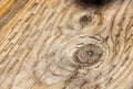 Pressure traeated wood texture grain Royalty Free Stock Photo