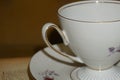 Closeup of pretty delicate vintage teacup and saucer