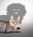 Cat with lion shadow Royalty Free Stock Photo