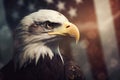 Closeup profile of North American bald eagle against USA flag. Independence Day of USA