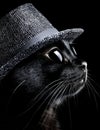 A closeup profile of a sleek black cat showcases its plush fur, sharp eye, and delicate whiskers in dramatic lighting, with deep Royalty Free Stock Photo