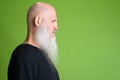 Closeup profile view of mature bald man with long gray beard Royalty Free Stock Photo